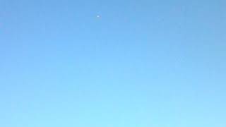 Pegaso Captado En Vídeo Real