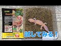 【大集合】ニシアフの床材を全交換してみた！【デザートベース】