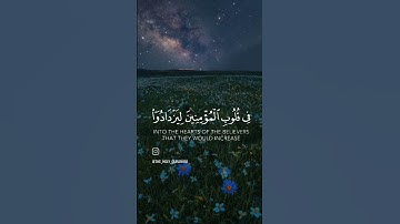القرآن الكريم   "سورة الفتح  الآية (4)"