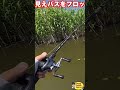 琵琶湖より釣りやすい？釣果を意識したルアー戦略！ #8