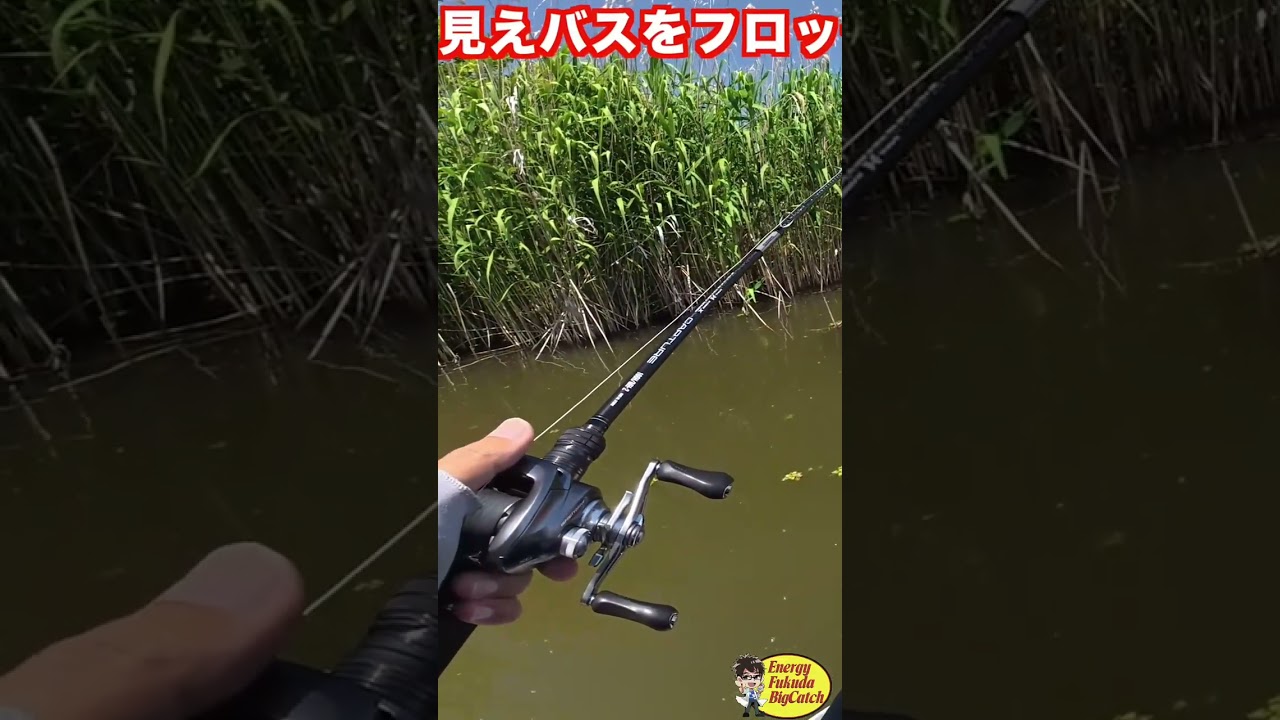 琵琶湖より釣りやすい？釣果を意識したルアー戦略！ #8