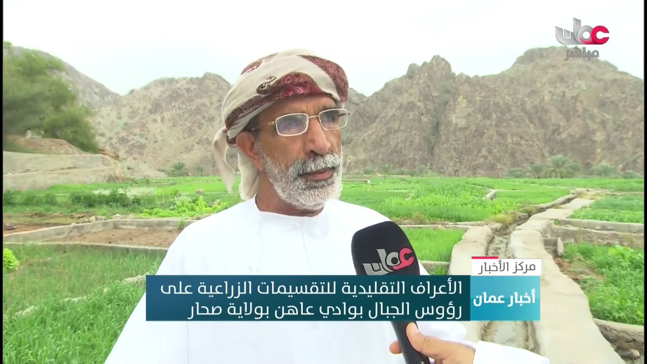 الأعراف التقليدية للتقسيمات الزراعية على رؤوس الجبال  بوادي عاهن بولاية صحار