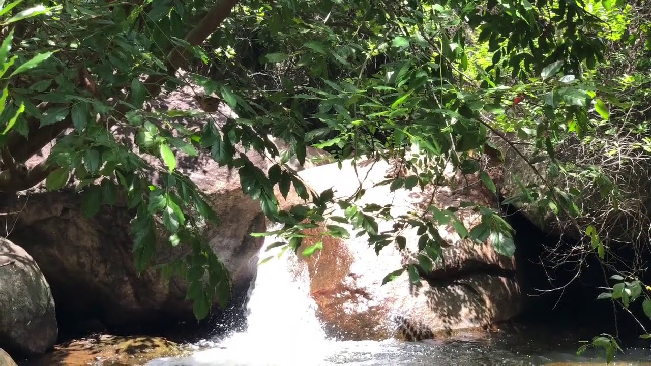 SUPER COCONUT FARM FOR SALE - GENUINE BUYERS CONTACT MOBILE 9443286867 & 9600747003 - BROKERS EXCUSE