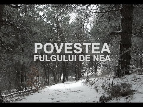 Video: Fulg De Zăpadă Pe Câmpia Manciuriană