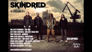 Skindred - Proceed With Caution - From the album Kill the Power guitar tab & chords by Skindred. PDF & Guitar Pro tabs.