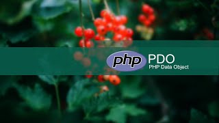 Part-2 | PHP MySql PDO Tutorial For Beginner | Make Sql Query to Insert  & Fetch Data and Exec