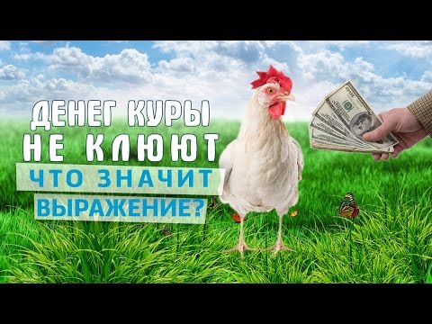 Что значит выражение «Денег куры не клюют»