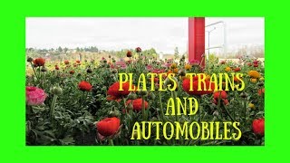 Plates, Trains, and Model A Automobiles