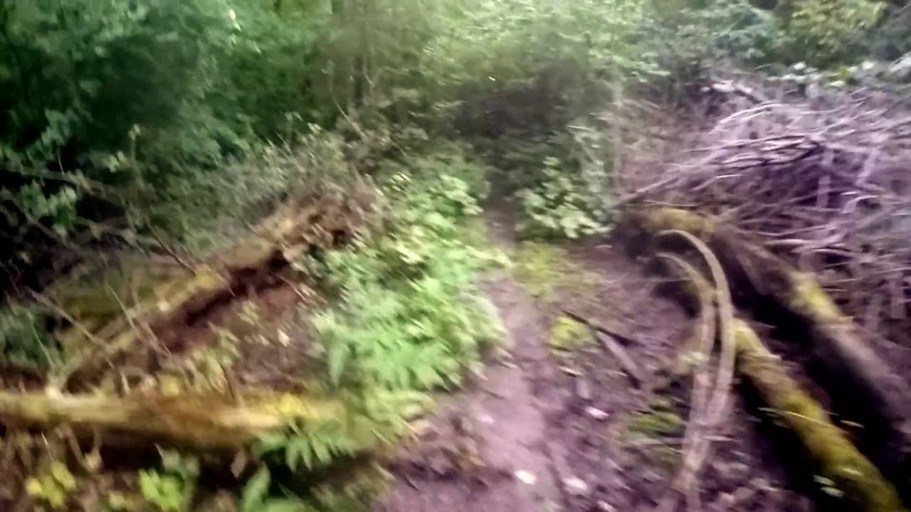 Apple Island, Orcahrd Lake Michigan YouTube