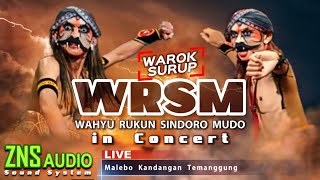 WAROK SURUP - WRSM PATEMON in CONCERT - WAHYU RUKUN SINDORO MUDO - Live MALEBO KANDANGAN TEMANGGUNG
