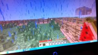 MineCraft Multiplayer server and RollerCoaster with Peteste
