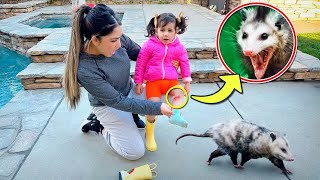 Our Little Sister Got ATTACKED By an OPOSSUM!!? *Painful* | Jancy Family