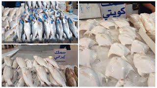 واخيرا جولتي في اكبر سوق سمك في الكويت بسوق شرق وجميع انواع السمك والاسعار