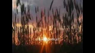 Bright Eyes - Art Garfunkel subtitulos español