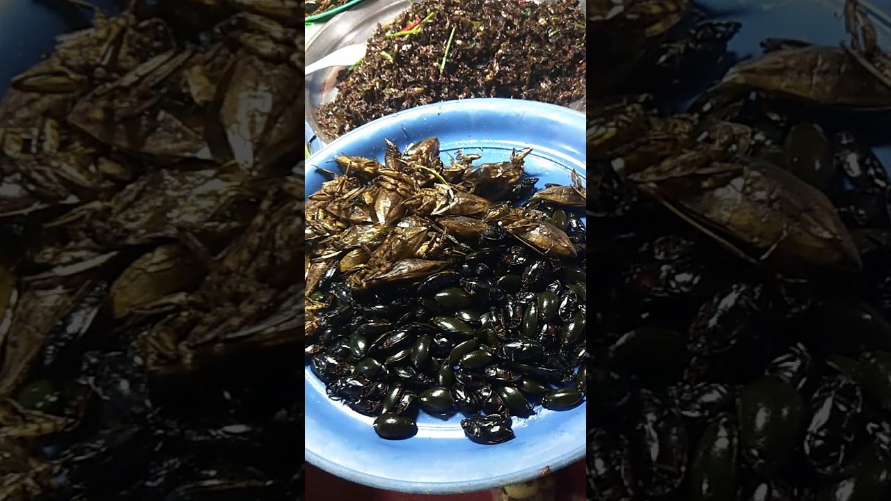 INSECT DISHES in Cambodia - YouTube