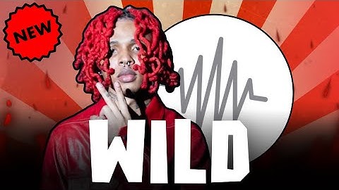 “WILD” SOFAYGO SNIPPET [OFFICIAL VISUALIZER 2024]