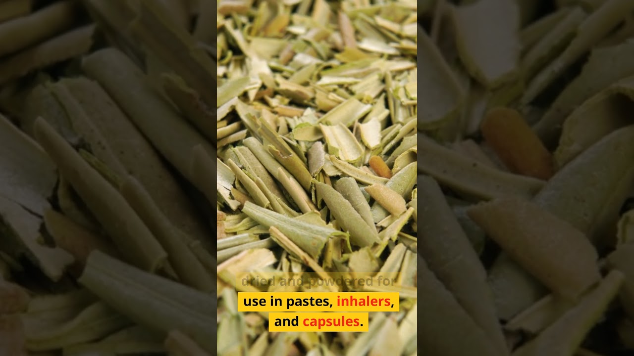 The Benefits of Coltsfoot