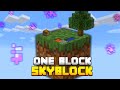 Vater und Sohn spielen Minecraft One Block SKYBLOCK