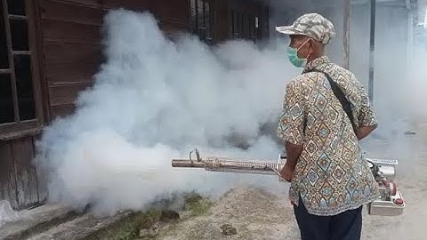 55 Kasus DBD di Sukamara 2025: Tips Pencegahan Efektif dengan 3M Plus