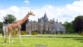 Un Zoo Et Un Château Jamais Vendu Depuis Sa Construction Visite Par Son Propriétaire