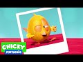 Onde está Chicky? 2020 | CHICKY MODELO | Desenhos Animados Infantil