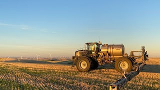 Spraying the volunteer from harvest