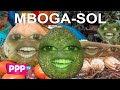 Sauti sol  extravaganza january parody mboga sol  cabbage sukuma avocado mahindi