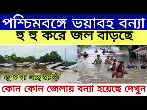 ভিডিও: আপনি যদি বন্যা অঞ্চলে থাকেন তবে আপনি কি বন্যা বীমা পেতে পারেন?