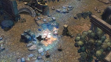 Tree of Savior - Taoist - Tri-dizer