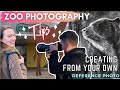 Zoo Photography Tips | Creating Art From My Own Reference Photos