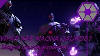 WHAT ARE MAGNA GAUEDS? IG-100 Magna Guards explained (star wars explained)