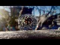 frozen bubbles in calgary