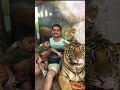 real 🐅