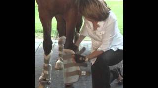 www.flywraps.com ~ fly wraps!