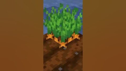 most realistic graphics in minecraft must watch #shorts #minecraft #memes