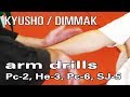 KYUSHO/DIM MAK Vitalpunkte ARM DRILLS mit Jörg Weisflog - Seminar "Kyusho, Atemi ..." Berlin 2016