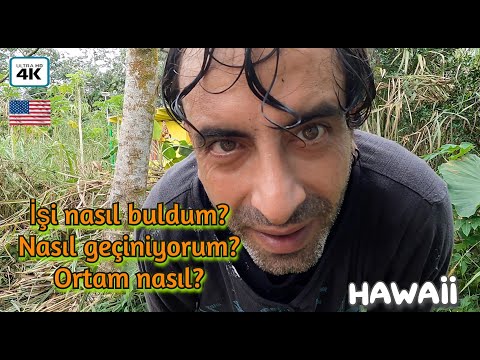 Video: Hawaii'de fosseptikler yasal mı?