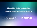 Så skyddar du din verksamhet mot ransomware och cyberattacker - Cuebid & NetApp