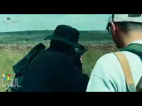 هاها النشامة عزوتي عيال معروف 