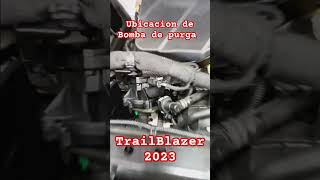 PURGE PUMP #chevrolet  #automobile #trailblazer #chevy #purgepump