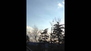 Celebrity F-18 fighter jet low and fast Wealth