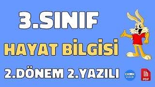 3. Sınıf Hayat Bilgisi 2. Dönem 2. Yazılı Soruları Ve Çözümü Yeni