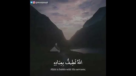 الله لطيف بعباده * تلاوة خاشعة تبعث الطمأنينة فى القلب * حالات واتس اب دينية