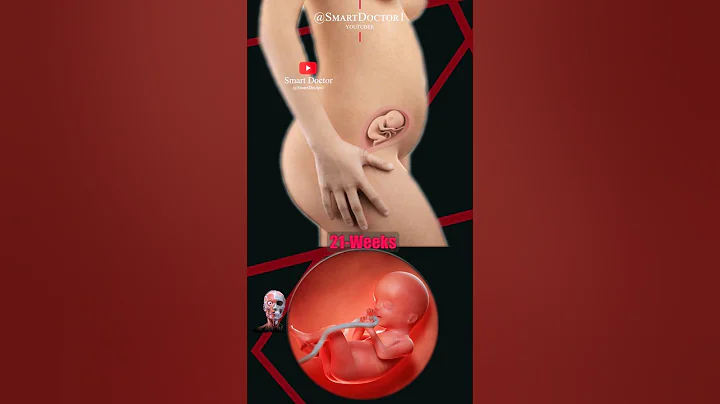 Pregnancy Week by Week 💕