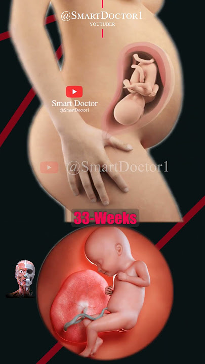 Pregnancy Week by Week 💕
