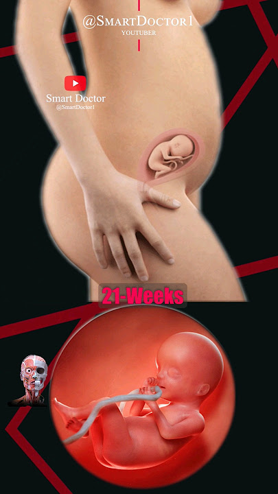 Pregnancy Week by Week 💕