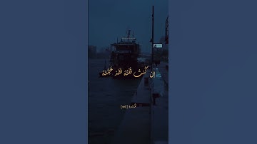 سورة المائدة [116] القارئ محمد اللحيدان