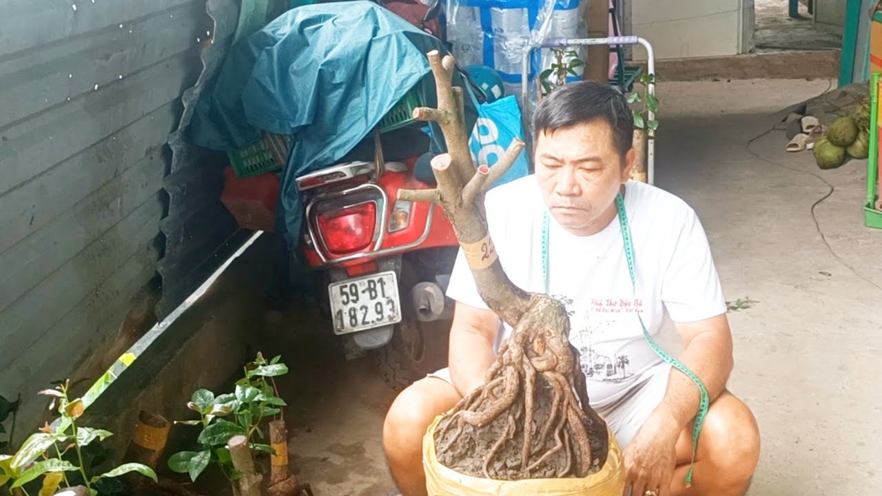 Chú Ba 📲0938700985 Phôi Đẹp Dáng Đẹp Tứ Quý Giá Tốt Ngày 14/2 Giao Lưu 