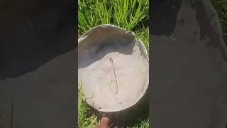 Agri Gypsum Calcium Plus Granular Fertilizer With Guano NPK