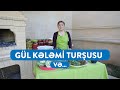 Ruhi Əliyeva &  Gül Kələmi Turşusu və... #VLOG22